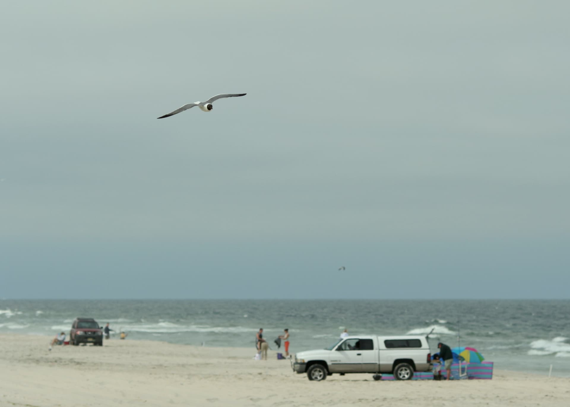 Bay Head